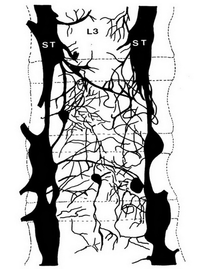 񾭷ֲ
