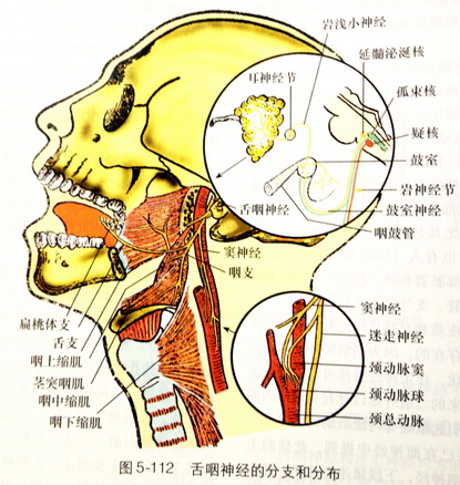 񾭼ֲ֧
