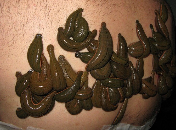 ˮƷڰʹ